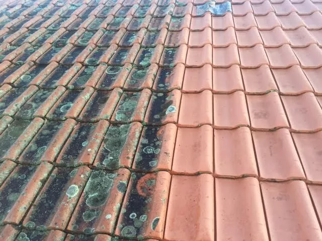 roof tile cleaners